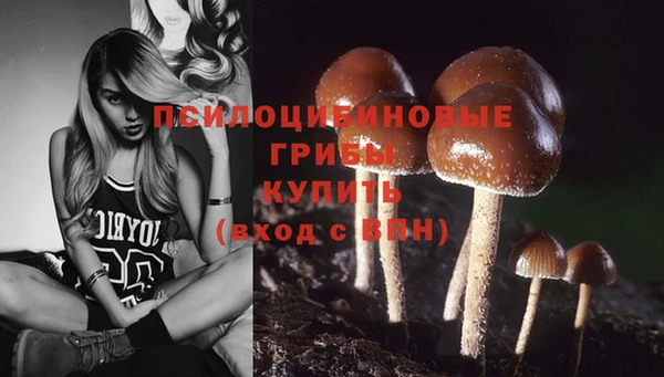 не бодяженный Алексин