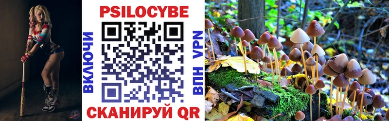 Галлюциногенные грибы Cubensis  купить закладку  Первоуральск 
